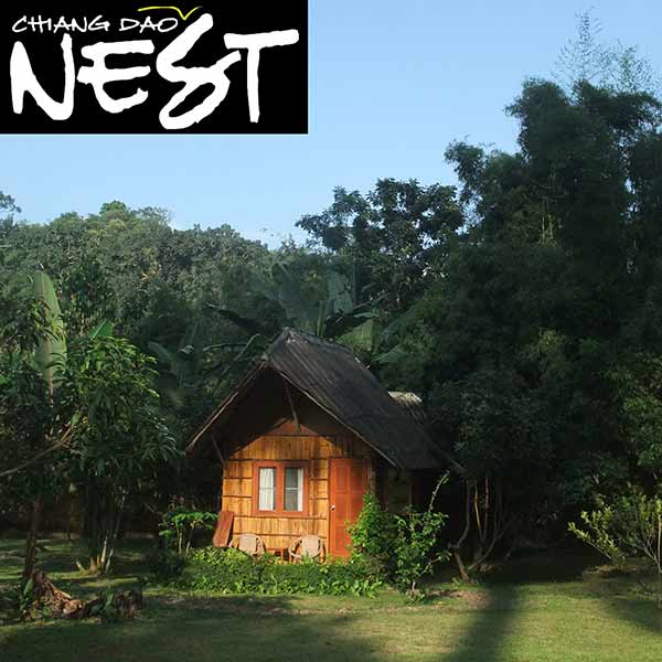Chiang Dao Nest Mini Resort, Tours & Trekking, Chiang Mai, Thailand
