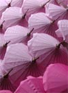Thai Umbrellas